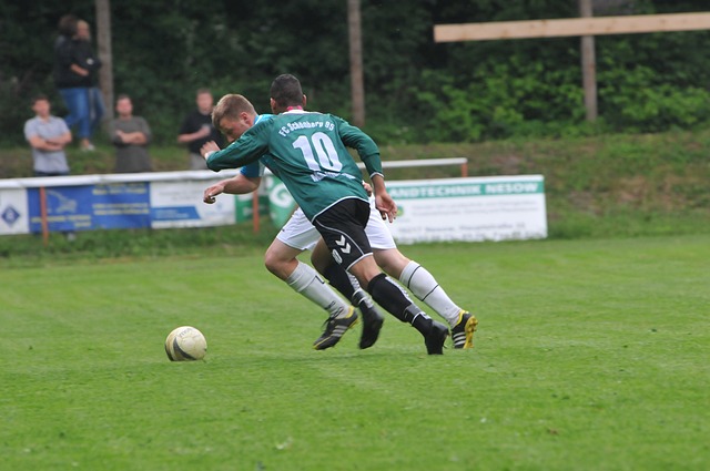 这一策略不 这一策略不